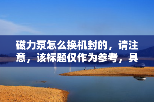 磁力泵怎么换机封的，请注意，该标题仅作为参考，具体使用时还需要结合实际情况进行适当调整。