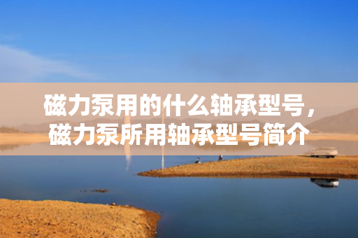 磁力泵用的什么轴承型号，磁力泵所用轴承型号简介