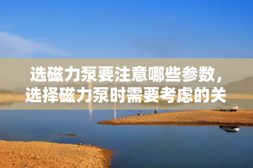 选磁力泵要注意哪些参数，选择磁力泵时需要考虑的关键参数一览