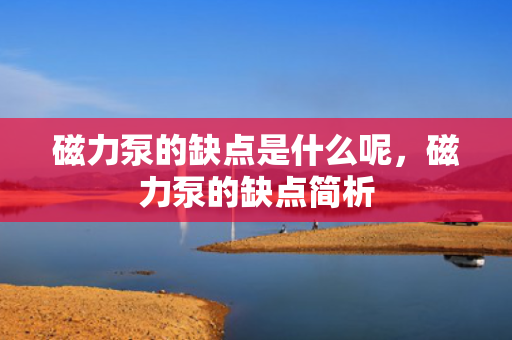 磁力泵的缺点是什么呢，磁力泵的缺点简析