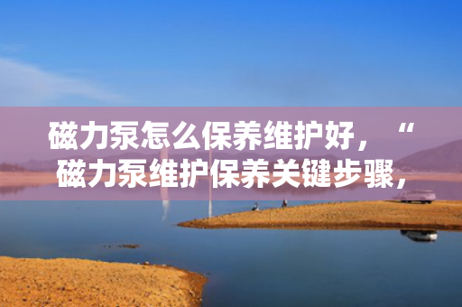 磁力泵怎么保养维护好，“磁力泵维护保养关键步骤，确保设备高效稳定运行”