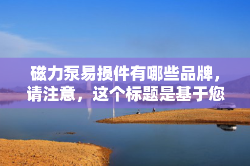 磁力泵易损件有哪些品牌，请注意，这个标题是基于您提供的内容生成的，但实际内容中并没有提及具体的磁力泵易损件品牌。如果需要列出具体的品牌，可能需要进一步的研究或提供更多的信息。