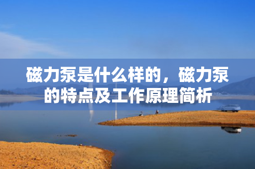 磁力泵是什么样的，磁力泵的特点及工作原理简析