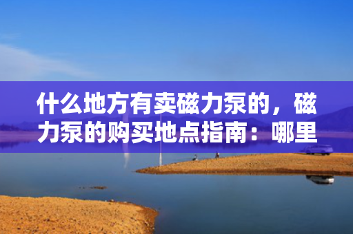 什么地方有卖磁力泵的，磁力泵的购买地点指南：哪里可以找到并购买磁力泵