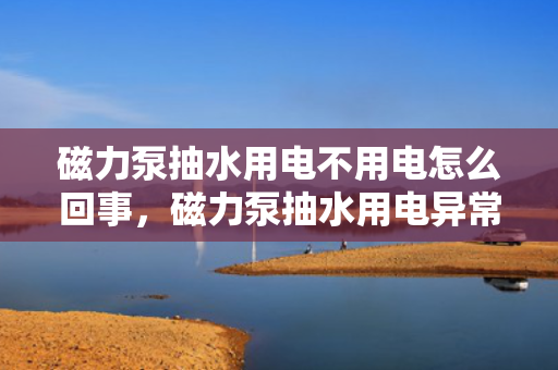 磁力泵抽水用电不用电怎么回事，磁力泵抽水用电异常情况解析：工作原理与故障排查