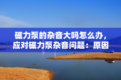 磁力泵的杂音大吗怎么办，应对磁力泵杂音问题：原因分析与解决方案