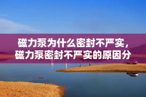 磁力泵为什么密封不严实，磁力泵密封不严实的原因分析