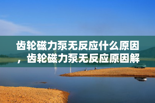 齿轮磁力泵无反应什么原因，齿轮磁力泵无反应原因解析：故障排查与解决方案