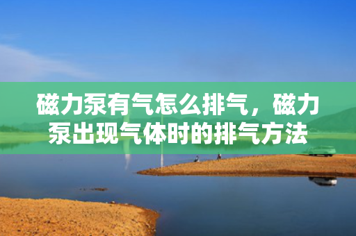 磁力泵有气怎么排气，磁力泵出现气体时的排气方法