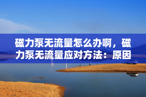 磁力泵无流量怎么办啊，磁力泵无流量应对方法：原因分析与解决方案