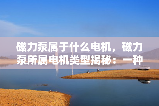 磁力泵属于什么电机，磁力泵所属电机类型揭秘：一种无需机械密封的特殊电机