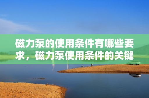 磁力泵的使用条件有哪些要求，磁力泵使用条件的关键要求概览