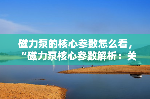 磁力泵的核心参数怎么看，“磁力泵核心参数解析：关键指标一网打尽”
