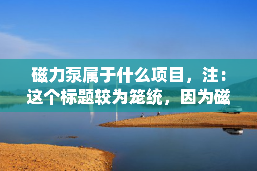 磁力泵属于什么项目，注：这个标题较为笼统，因为磁力泵可以应用于多个不同的项目和行业中。如果需要更具体的标题，可能需要提供更多关于磁力泵使用场景或项目类型的信息。但基于您给出的内容限制，以上是一个可能的标题。