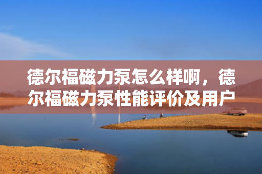 德尔福磁力泵怎么样啊，德尔福磁力泵性能评价及用户反馈概览