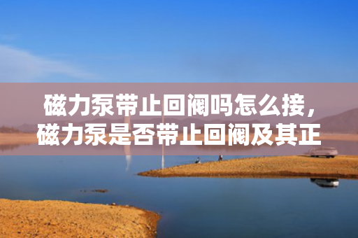 磁力泵带止回阀吗怎么接，磁力泵是否带止回阀及其正确接法解析