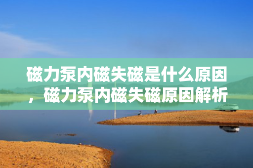 磁力泵内磁失磁是什么原因，磁力泵内磁失磁原因解析