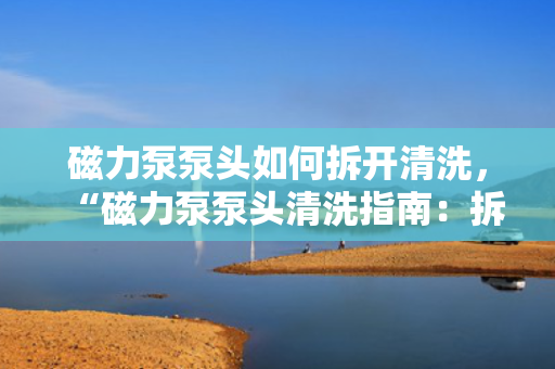磁力泵泵头如何拆开清洗，“磁力泵泵头清洗指南：拆解步骤详解”