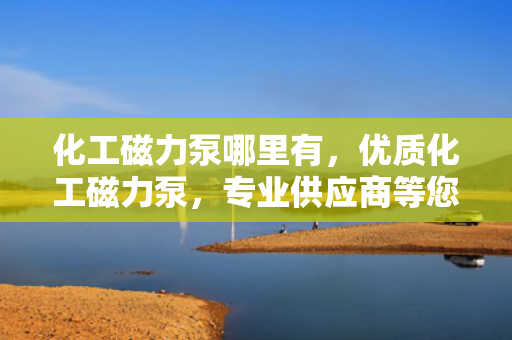 化工磁力泵哪里有，优质化工磁力泵，专业供应商等您来选