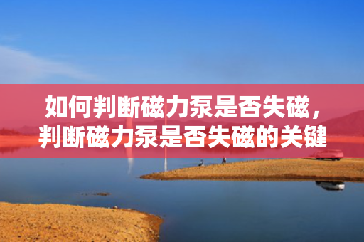 如何判断磁力泵是否失磁，判断磁力泵是否失磁的关键方法与步骤