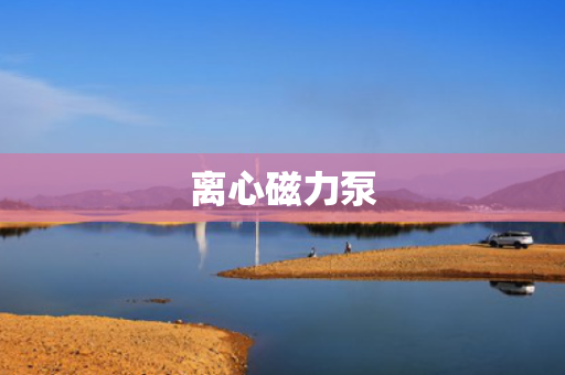 离心磁力泵