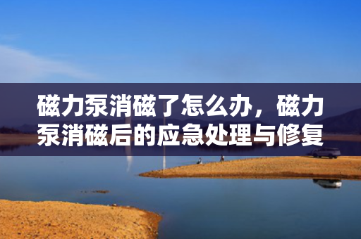 磁力泵消磁了怎么办，磁力泵消磁后的应急处理与修复方法