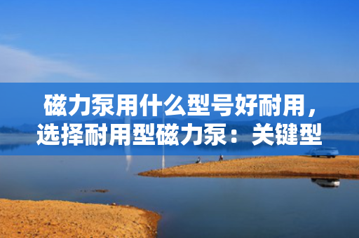 磁力泵用什么型号好耐用，选择耐用型磁力泵：关键型号指南与推荐