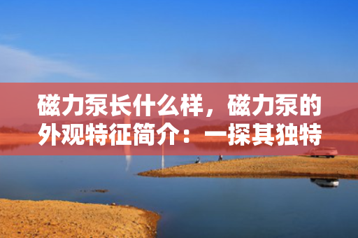 磁力泵长什么样，磁力泵的外观特征简介：一探其独特设计与结构