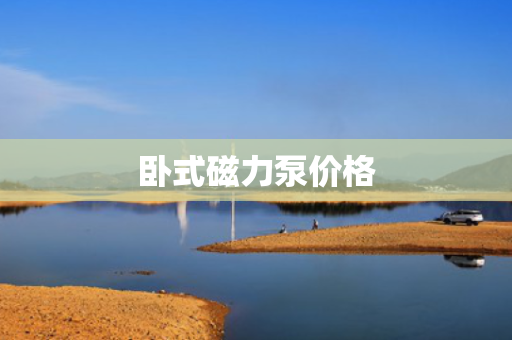 卧式磁力泵价格
