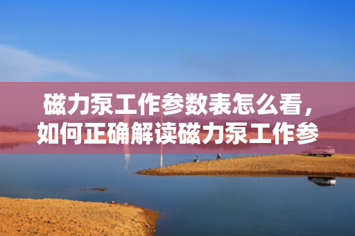 磁力泵工作参数表怎么看，如何正确解读磁力泵工作参数表