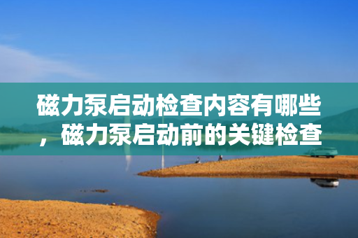 磁力泵启动检查内容有哪些，磁力泵启动前的关键检查项目一览