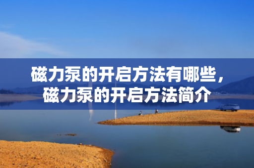 磁力泵的开启方法有哪些，磁力泵的开启方法简介