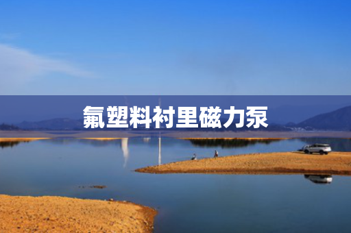 氟塑料衬里磁力泵