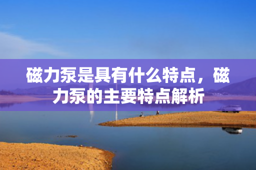 磁力泵是具有什么特点，磁力泵的主要特点解析