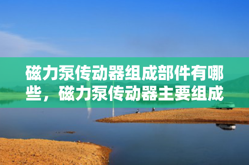 磁力泵传动器组成部件有哪些，磁力泵传动器主要组成部件一览