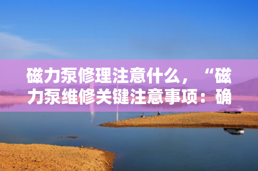 磁力泵修理注意什么，“磁力泵维修关键注意事项：确保安全与性能的重要步骤”