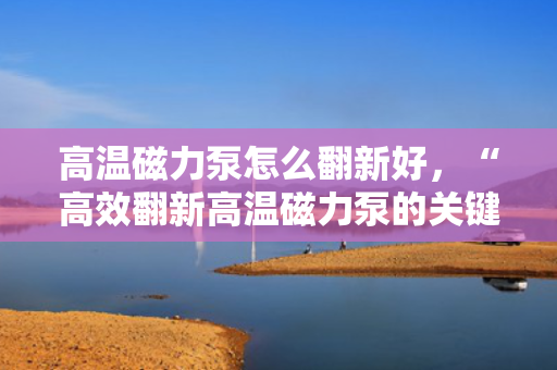 高温磁力泵怎么翻新好，“高效翻新高温磁力泵的关键步骤与技巧”