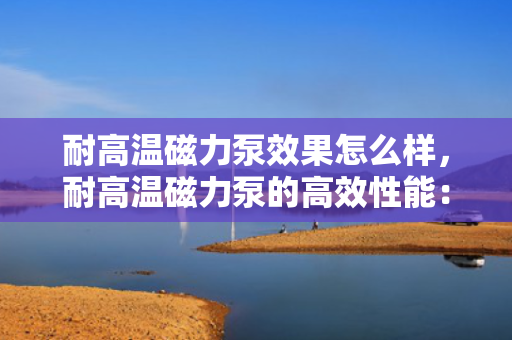 耐高温磁力泵效果怎么样，耐高温磁力泵的高效性能：应对高温环境的理想选择