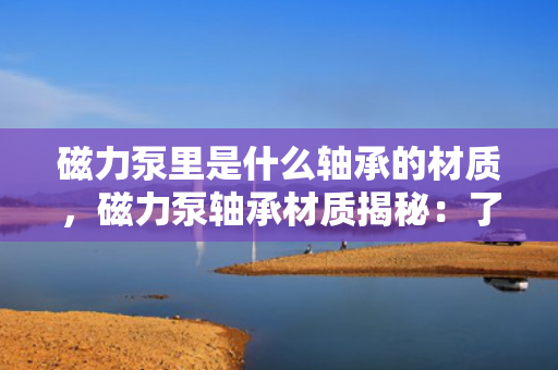 磁力泵里是什么轴承的材质，磁力泵轴承材质揭秘：了解磁力泵内部轴承的制造材料