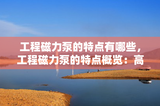 工程磁力泵的特点有哪些，工程磁力泵的特点概览：高效、无泄漏与长寿命的完美结合