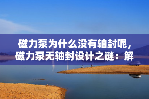 磁力泵为什么没有轴封呢，磁力泵无轴封设计之谜：解析其独特结构与工作原理