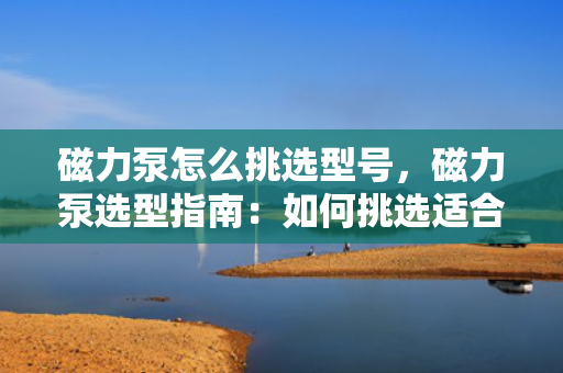 磁力泵怎么挑选型号，磁力泵选型指南：如何挑选适合的磁力泵型号