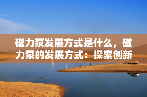磁力泵发展方式是什么，磁力泵的发展方式：探索创新与技术进步驱动的未来路径