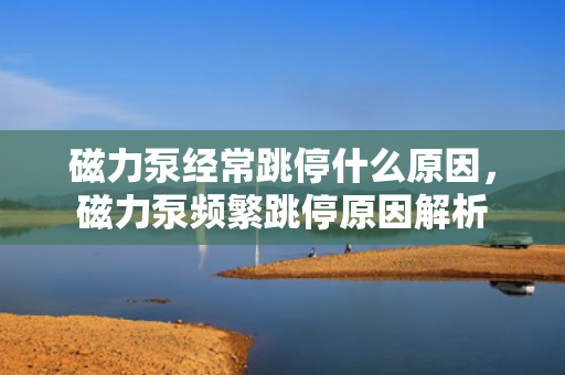 磁力泵经常跳停什么原因，磁力泵频繁跳停原因解析