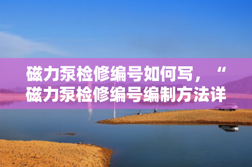 磁力泵检修编号如何写，“磁力泵检修编号编制方法详解”