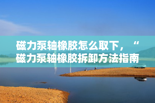 磁力泵轴橡胶怎么取下，“磁力泵轴橡胶拆卸方法指南”