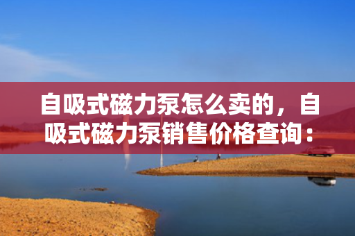 自吸式磁力泵怎么卖的，自吸式磁力泵销售价格查询：了解详情与获取报价