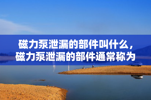 磁力泵泄漏的部件叫什么，磁力泵泄漏的部件通常称为“密封件”或“密封环”