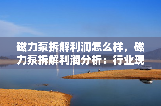 磁力泵拆解利润怎么样，磁力泵拆解利润分析：行业现状及盈利前景一探究竟