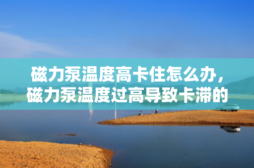 磁力泵温度高卡住怎么办，磁力泵温度过高导致卡滞的应急处理与解决方案